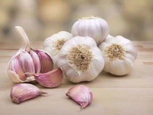 Đau đầu kinh niên cũng khỏi tức khắc nếu bạn dùng tỏi theo đúng cách đơn giản này