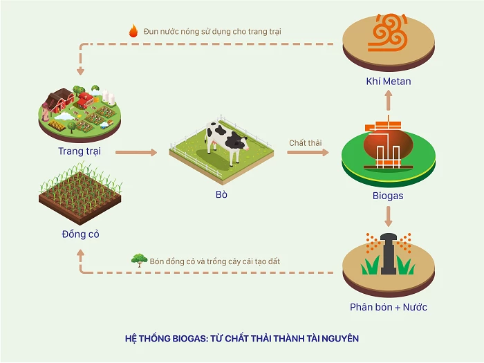 Sơ đồ vòng tròn quản lý nguồn đất bền vững được thực hiện tại các trang trại bò sữa của Vinamilk.
