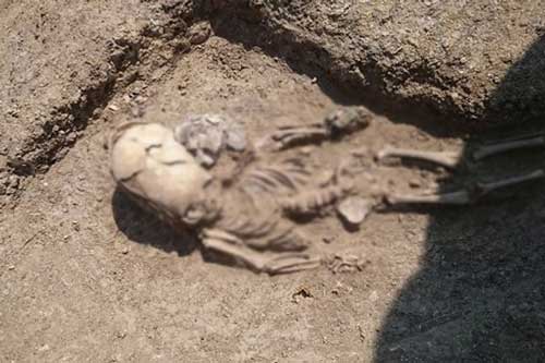 Giải mã thành công bí ẩn về hộp sọ thuôn dài nghi là người ngoài hành tinh