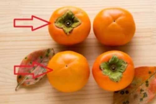 Mách chị em cách chọn hồng giòn cúng Trung thu đảm bảo ngon ngọt, không hóa chất