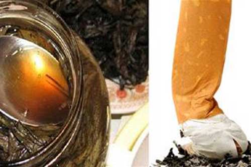 Nghiện thuốc lá bao lâu cũng có thể bỏ được sau 3 ngày khi uống loại trà này