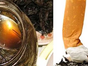 Nghiện thuốc lá bao lâu cũng có thể bỏ được sau 3 ngày khi uống loại trà này