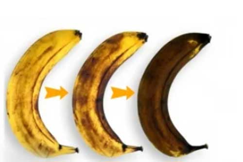 8 loại quả càng để trong tủ lạnh càng nhanh hỏng