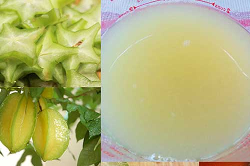 Công thức dân gian chữa nhiệt miệng chuẩn nhất mà bạn chưa biết