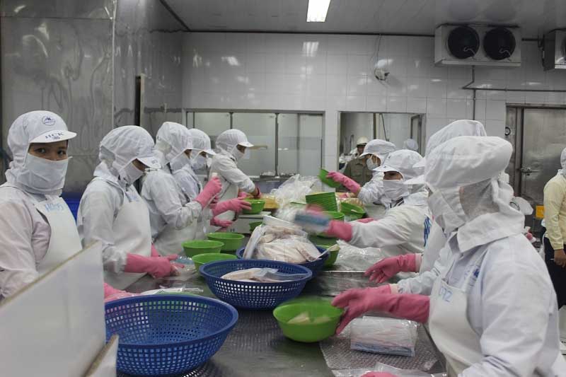 Giải quyết ngay vướng mắc phát sinh từ hiệp định EVFTA