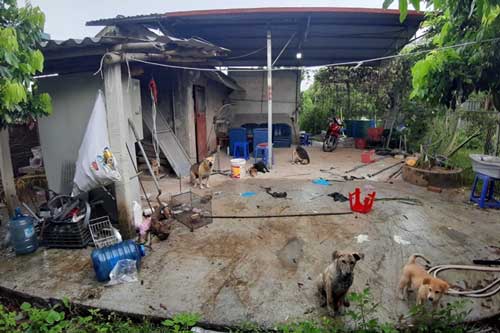 Hưng Yên: Dùng rìu sát hại con nợ trong trang trại