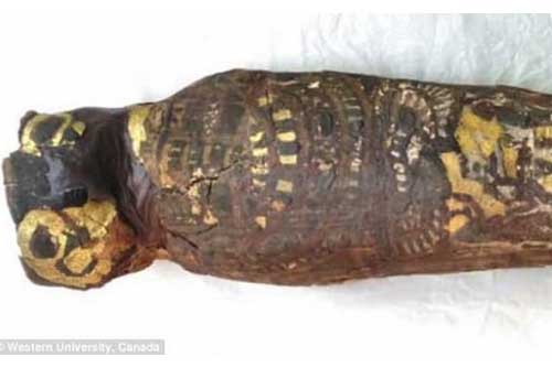 Tiết lộ gây sốc về xác ướp 2.100 năm của một bé trai khiến nhà khoa học giật mình