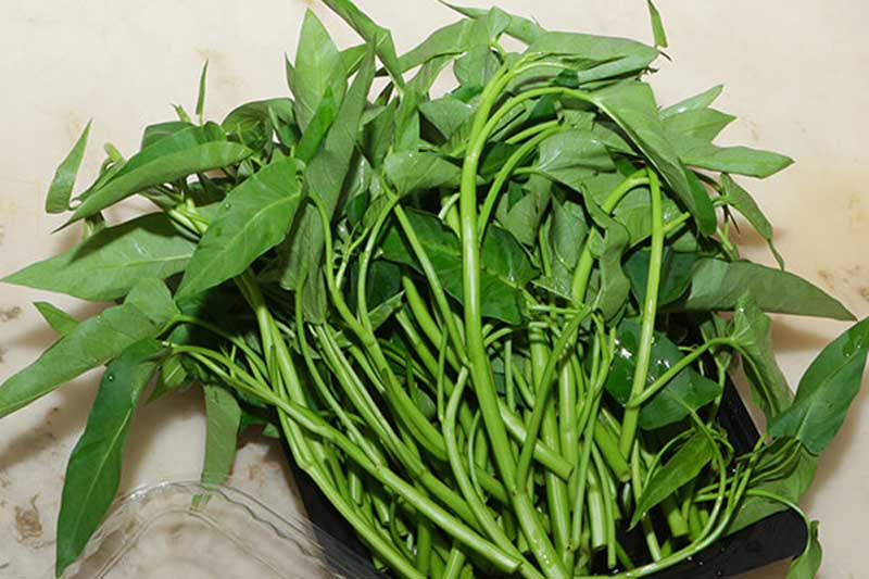 Tác hại đáng sợ của rau muống bạn phải tuyệt đối tránh xa kẻo rước cả 'rổ' bệnh vào người
