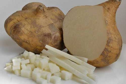 Những lợi ích quý giá của củ đậu mà nhiều người vẫn bỏ qua