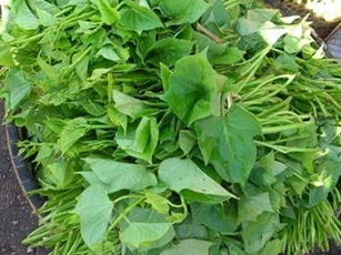 6 loại rau củ ít thuốc trừ sâu, mẹ có thể yên tâm cho con ăn dặm