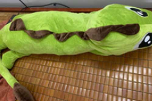 Hí hửng đặt mua chú khủng long siêu to khổng lồ để ôm ấp cho đỡ cô quạnh, thanh niên 'ôm hận' vì thứ nhận về chẳng biết gọi là con gì