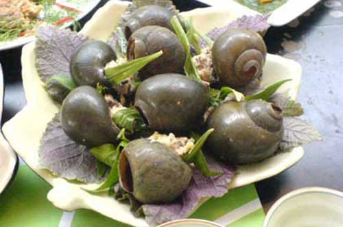 Cách làm ốc hấp lá gừng ngon