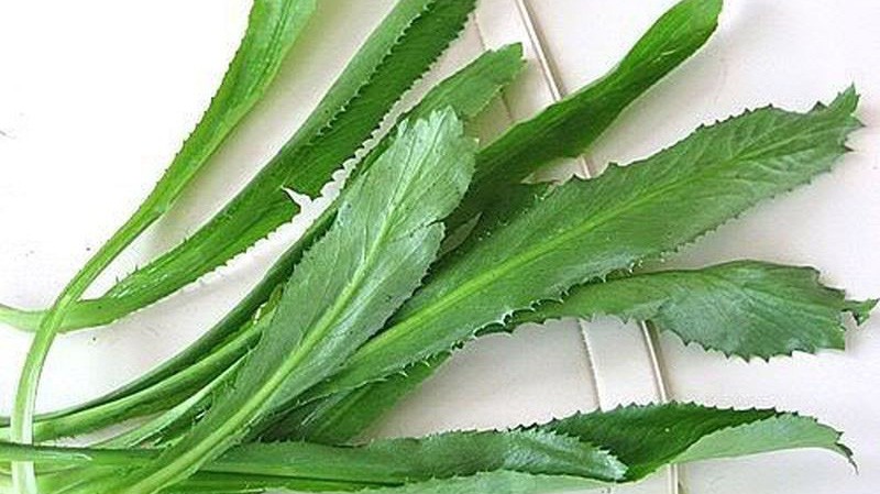 Mẹo chữa cúm hiệu quả bằng mùi tàu