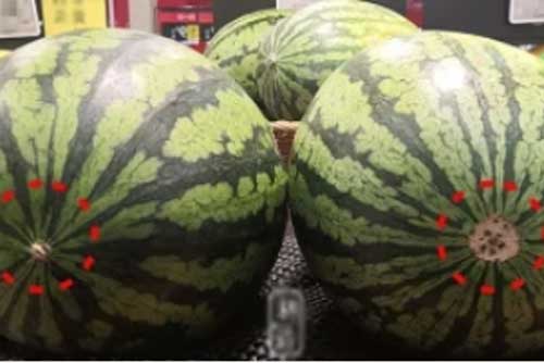 Mua dưa hấu không cần gõ vào vỏ, nhìn đúng điểm này đảm bảo chọn được quả ngọn ngọt