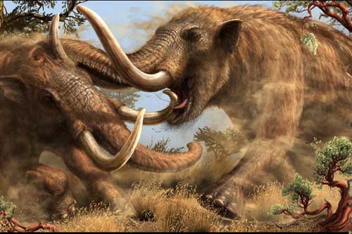 Dạo bờ sông, phát hiện tàn tích "quái thú" 10.000 tuổi