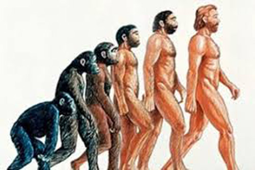 Sự thật về hóa thạch loài khỉ cổ có thể là tổ tiên chung cuối cùng của con người