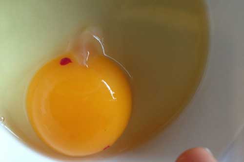 Đập trứng gà ra bát thấy có vệt đỏ như máu, nên ăn hay bỏ đi?