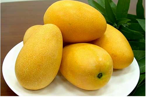 Bí quyết chọn xoài ngon ngon cực phẩm, 10 quả ngọt lịm cả 10