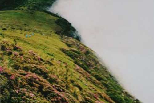 Giải mã bí ẩn 'thung lũng chết' ở Trung Quốc