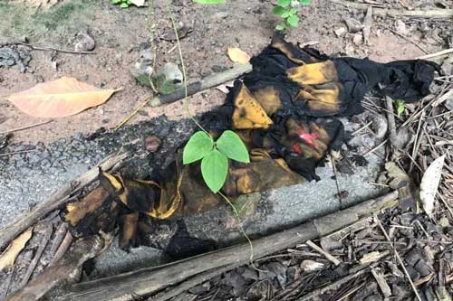 Thiếu nữ 15 tuổi ở Bình Dương bị bạn trai tưới xăng đốt tử vong