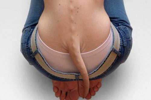 Bí ẩn ít biết về bộ phận 'bị thừa' trên cơ thể người 