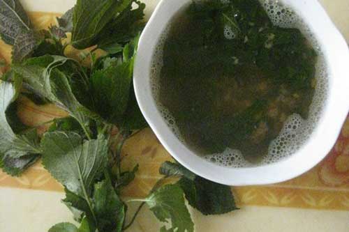 Uống nước tía tô theo cách này tàn nhang bao nhiêu cũng hết