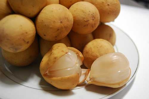 Những công dụng chữa bệnh tuyệt vời của quả bòn bon