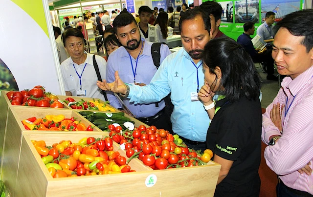 Để nông sản Việt XK ra thị trường xa rất cần đa dạng các hình thức xúc tiến thương mại.