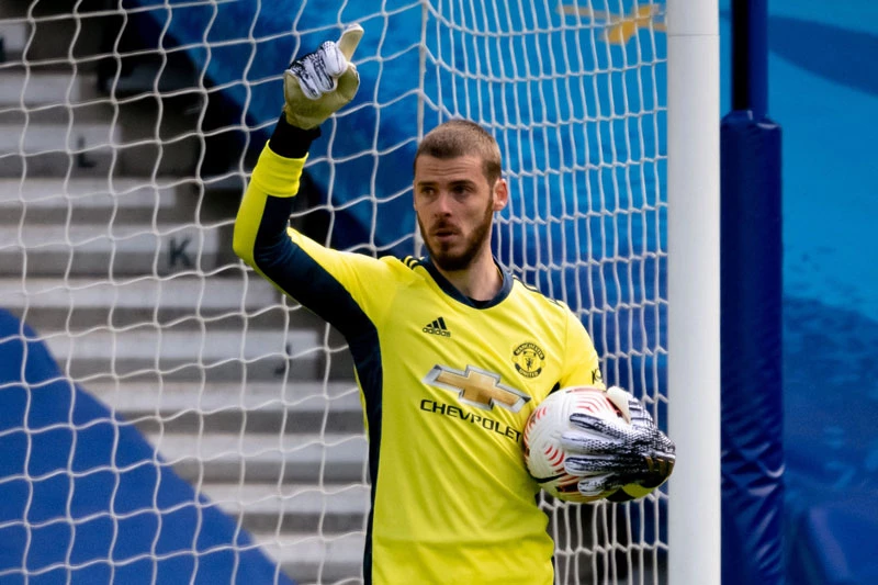 Thủ môn: David De Gea (M.U).