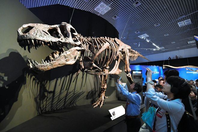 Phát hiện bệnh u xương ác tính ở khủng long