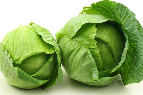 Đây chính là lý do bạn nên ăn bắp cải mỗi ngày