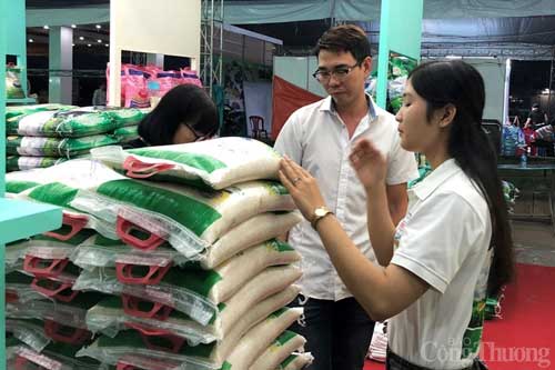 TP. Hồ Chí Minh tăng cường hỗ trợ doanh nghiệp khai thác hiệu quả EVFTA