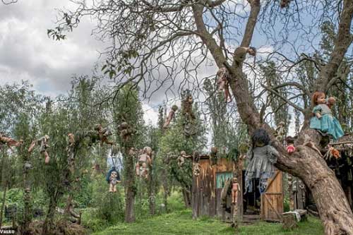 Đảo Búp bê 'ma quái' với những câu chuyện đầy ám ảnh