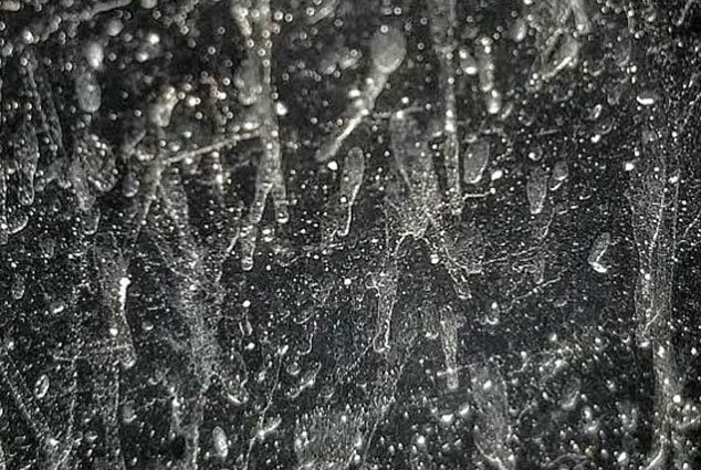 Giải mã bí ẩn "mưa sữa" ở tây bắc Thái Bình Dương