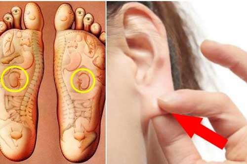 Các cụ đã bảo "Thận có khỏe thì sức mới bền": 5 cách chăm sóc thận đơn giản ai cũng nên làm