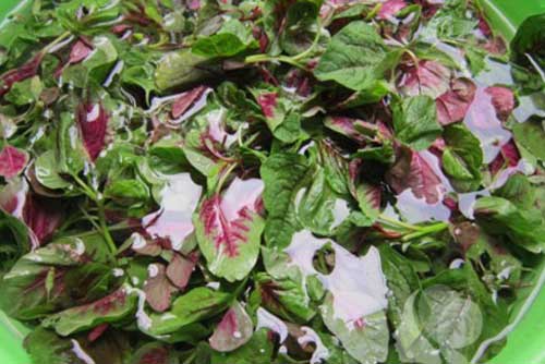 Những tác dụng phụ cần phải biết để tránh khi ăn rau dền