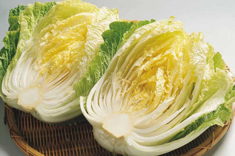 Thấy rau cải thảo có dấu hiệu này chớ dại mà mua kẻo rước bệnh vào người