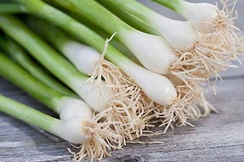 "Điểm mặt" những thứ tối kị với hành lá, chớ dại mà ăn