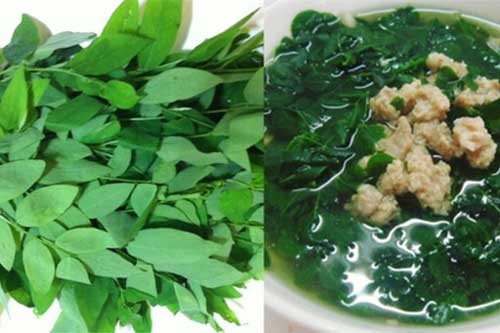 Nên dừng ăn rau ngót nếu bạn thuộc 1 trong 3 nhóm người có dấu hiệu sau đây