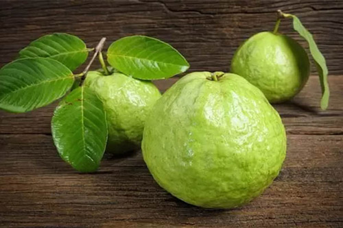 Ổi và lợi ích tuyệt vời cho bà bầu