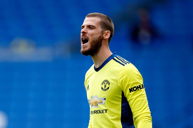 Thủ môn: David De Gea.