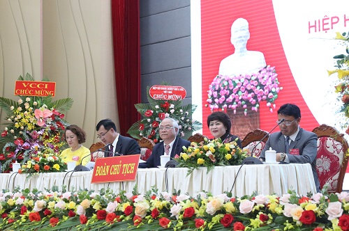 Hiệp hội Doanh nghiệp tỉnh Lâm Đồng nhiệm kỳ III: Hướng đến sự chuyên nghiệp, thiết thực và hiệu quả 