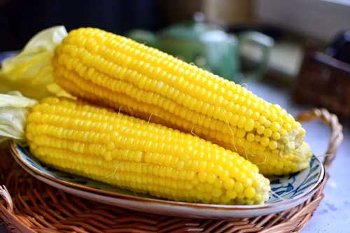 Nếu ở "thời điểm vàng" này bạn ăn một bắp ngô sẽ vừa làm đẹp da, vừa sống khỏe nhưng có 4 nhóm người tuyệt đối đừng ăn