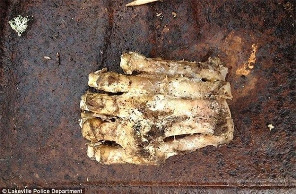 Tìm thấy một bàn chân Người Tuyết ở Boston