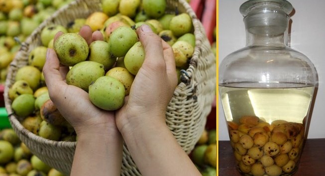 Táo mèo: 'Thuốc độc' đối với những người sau