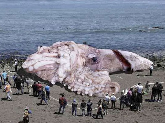 6 cú lừa ngoạn mục nhất lịch sử khoa học