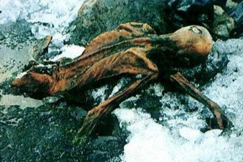 Các bí ẩn xung quanh cái chết của người băng Ötzi