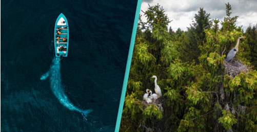 Mãn nhãn trước loạt ảnh về sự hùng vĩ của thiên nhiên nhìn từ trên cao