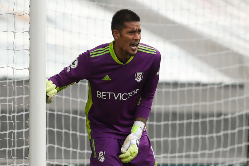 Thủ môn: Alphonse Areola (Fulham).