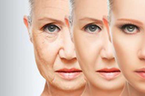 Cứ ăn 8 món cực khoái khẩu này chẳng mấy chốc bạn sẽ "già như trái cà"